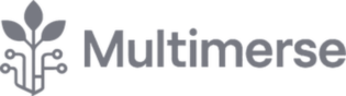 Multimerse